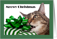 Meowy (Merry) Christmas Cute Cat With Present For Anyone Humor card
