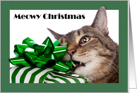 Meowy (Merry)...