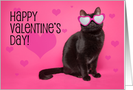 Happy Valentine’s Day Cat in Glasses Humor card