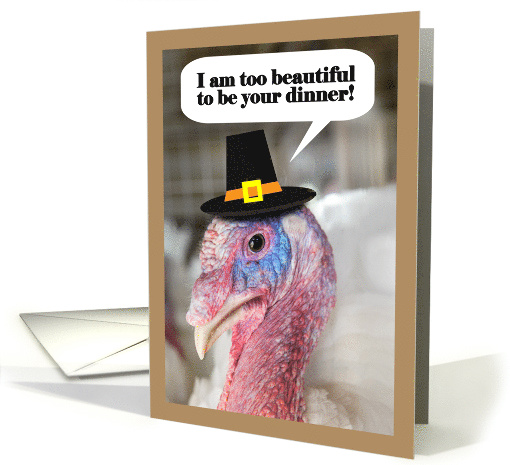 Happy Thanksgiving From Vegetarian Beautiful Turkey Humor card