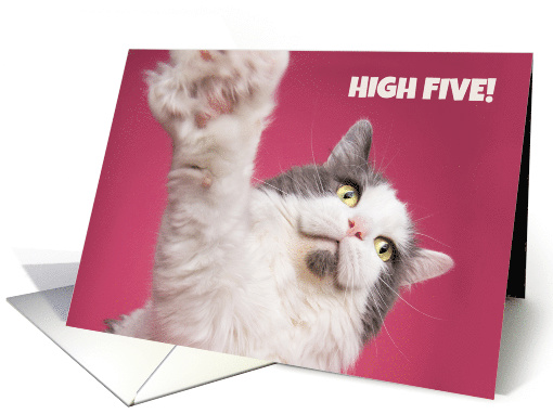 High Five Congratulations Funny Cat card (1548782)