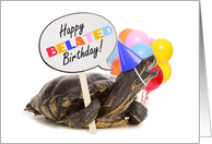 Happy Belated Birthday Talking Turtle Humor card