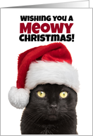 Meowy (Merry)...