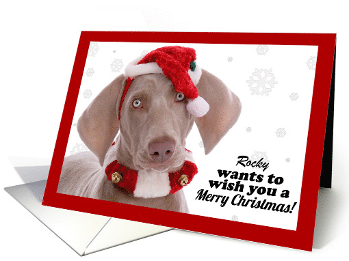 Merry Christmas Custom Dog Name Humor card (1549588)