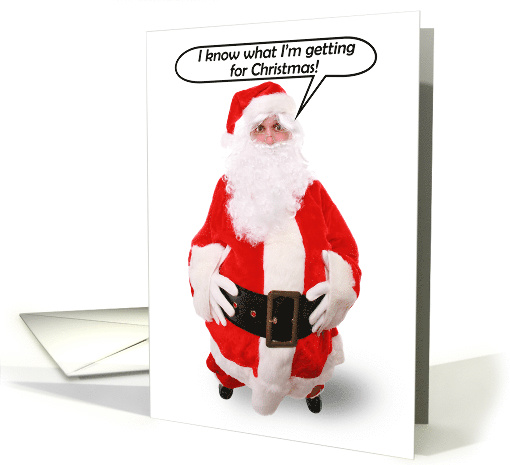 Merry Christmas To Anyone Fat Santa Humor card (1549920)