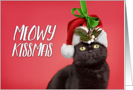 Meowy Kissmas (Merry Christmas) For Anyone Cat Under Mistletoe Humor card