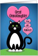 Happy Valentine’s Day Great Granddaughter Cute Tuxedo Cat card