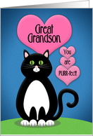 Happy Valentine’s Day Great Grandson Cute Tuxedo Cat card