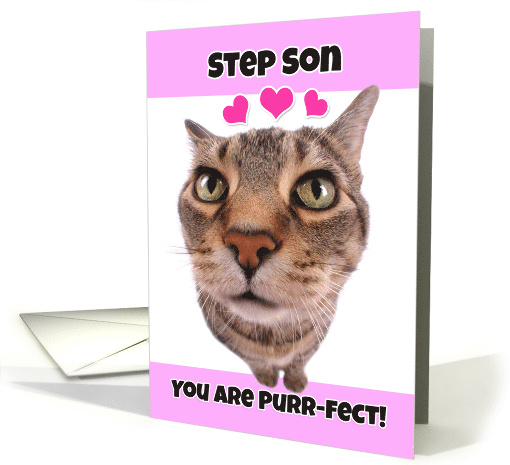 Happy Valentine's Day Step Son Cute Kitty Cat card (1552080)