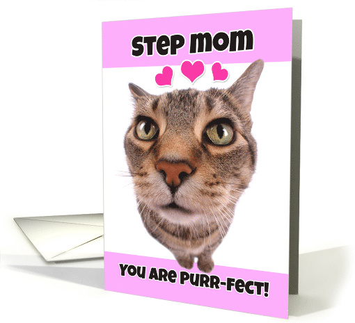 Happy Valentine's Day Step Mom Cute Kitty Cat card (1552082)