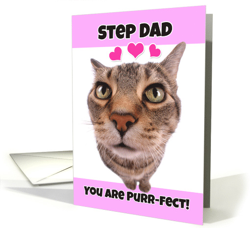Happy Valentine's Day Step Dad Cute Kitty Cat card (1552086)