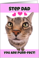 Happy Valentine’s Day Step Dad Cute Kitty Cat card