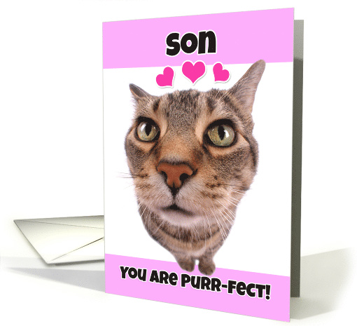 Happy Valentine's Day Son Cute Kitty Cat card (1552090)