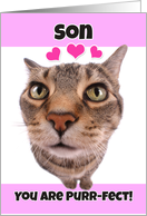 Happy Valentine’s Day Son Cute Kitty Cat card