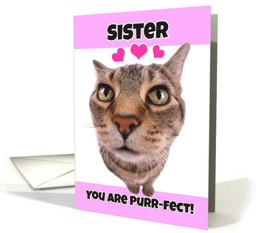 Happy Valentine's Day Sister Cute Kitty Cat card (1552136)