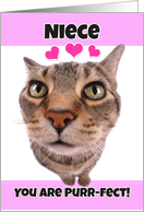 Happy Valentine’s Day Niece Cute Kitty Cat card