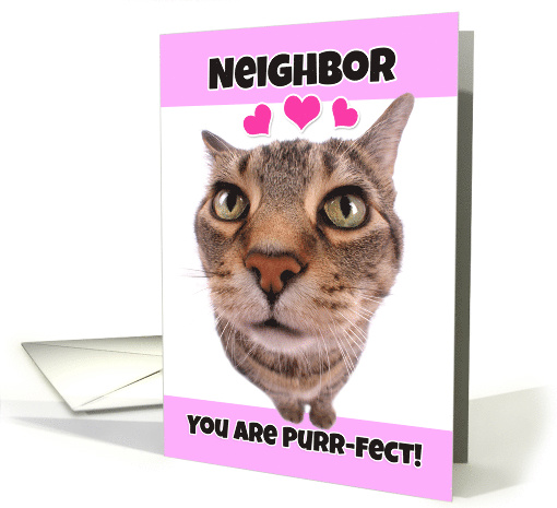 Happy Valentine's Day Neighbor Cute Kitty Cat card (1552144)