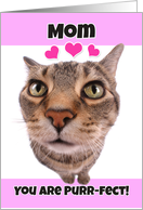 Happy Valentine’s Day Mom Cute Kitty Cat card