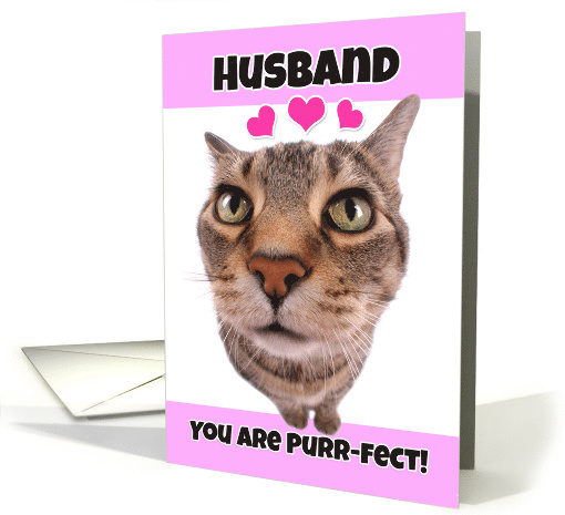 Happy Valentine's Day Husband Cute Kitty Cat card (1552148)