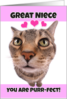 Happy Valentine’s Day Great Niece Cute Kitty Cat card