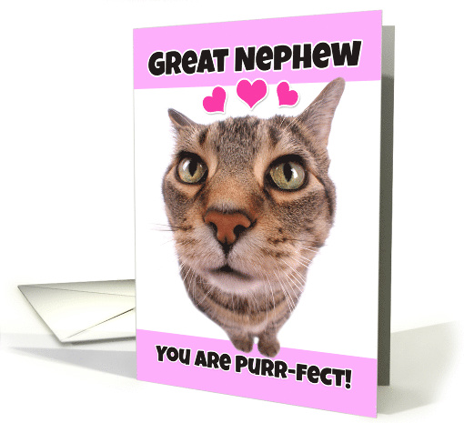 Happy Valentine's Day Great Nephew Cute Kitty Cat card (1552152)