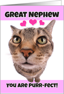 Happy Valentine’s Day Great Nephew Cute Kitty Cat card