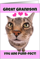 Happy Valentine’s Day Great Grandson Cute Kitty Cat card