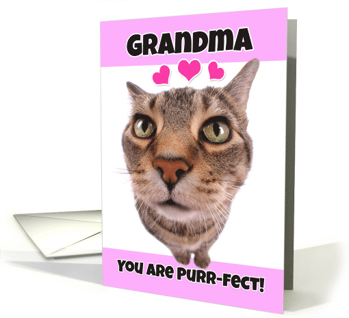 Happy Valentine's Day Grandma Cute Kitty Cat card (1552204)