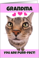 Happy Valentine’s Day Grandma Cute Kitty Cat card