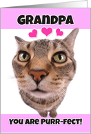Happy Valentine’s Day Grandpa Cute Kitty Cat card
