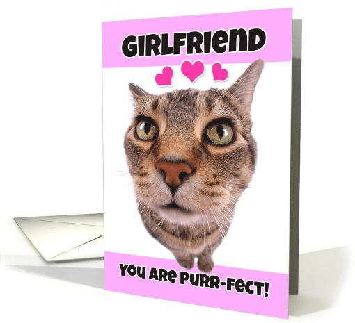 Happy Valentine's Day Girlfriend Cute Kitty Cat card (1552208)