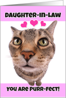 Happy Valentine’s Day Daughter-in-Law Cute Kitty Cat card