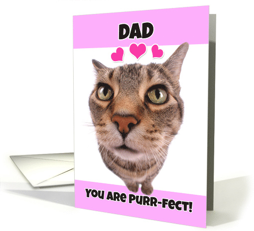 Happy Valentine's Day Dad Cute Kitty Cat card (1552224)