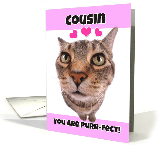 Happy Valentine's Day Cousin Cute Kitty Cat card (1552228)