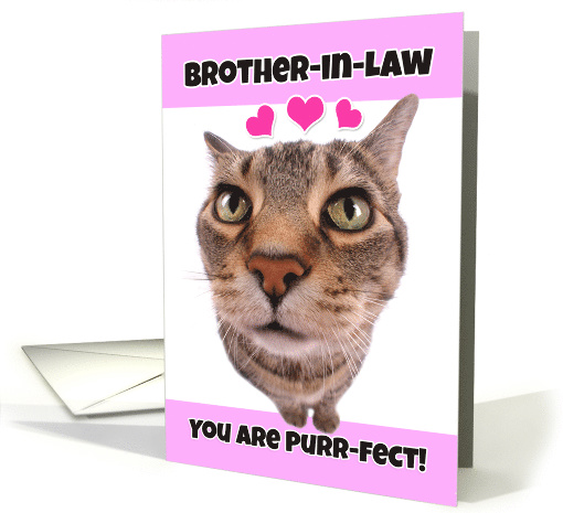 Happy Valentine's Day Brother-in-Law Cute Kitty Cat card (1552230)