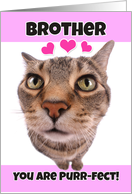 Happy Valentine’s Day Brother Kitty Cat card