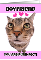 Happy Valentine’s Day Boyfriend Kitty Cat card