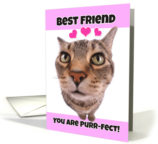 Happy Valentine's Day Best Friend Kitty Cat card (1552240)