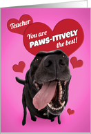 Happy Valentine’s Day Teacher Funny Dog Humor card