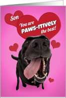 Happy Valentine’s Day Son Dad Funny Dog Humor card