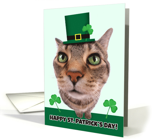 Happy St. Patrick's Day For Anyone Cat Humor card (1552696)