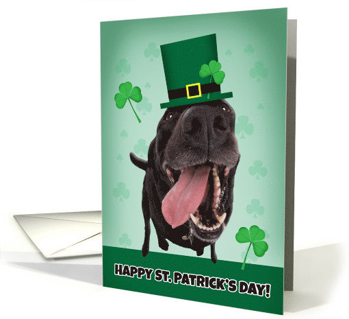 Happy St. Patrick's Day For Anyone Dog Humor card (1552700)