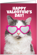 Happy Valentine’s Day Cute Cat in Heart Sunglasses card