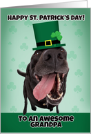 Happy St. Patrick’s Day Grandpa Dog Humor card