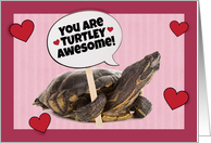 Happy Valentine’s Day For Anyone Turtle Humor card