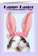 Happy Easter Granddaughter & Family Funny Cat in Bunny Ears card