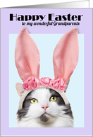 Happy Easter Grandparents Funny Cat in Bunny Ears card
