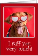 Happy Valentine’s Day For Anyone Pit Bull Dog in Heart Glasses card