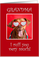 Happy Valentine’s Day Grandma Pit Bull Dog in Heart Glasses card