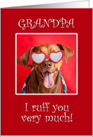 Happy Valentine’s Day Grandpa Pit Bull Dog in Heart Glasses card